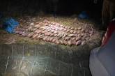 У Миколаївській області браконьєри ловили карасів та раків: збитки понад 600 тисяч (відео)