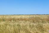 В Николаевской области фермер засеял земли ВСУ: нанес ущерб почти на 29 миллионов