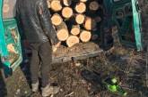 В Николаевской области «лесоруб-нелегал» заплатит 18 тыс. гривен ущерба