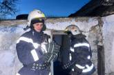 В Николаевской области пожарные спасли собачку из горящего дома