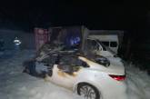 У Миколаєві підпалили автомобілі на стоянці: поліція шукає свідків (фото)