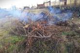 Жителя села під Миколаєвом оштрафували на 3 тисячі гривень за спалювання сухої трави