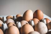 Украина запретила ввоз яиц и птицы из Чехии
