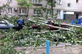 В Одессе упавшее дерево расплющило два автомобиля ФОТО