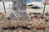 В Николаеве при ремонте дороги повредили деревья (фото)
