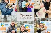 Николаевцы подарили дома 13-ти бездомным собакам: итоги выставки-устройства животных