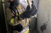 В Николаеве горели квартиры в двух девятиэтажках: эвакуированы 8 жителей, спасены 3 попугая