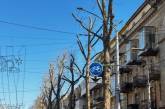 Депутат та екологи зупинили варварське обрізання дерев у центрі Миколаєва