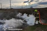 В Николаевской области возросло количество пожаров в экосистемах