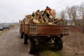 В заповеднике под Николаевом вырубили деревьев более чем на 2 миллиона гривен (фото)