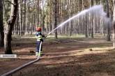 На Миколаївщині через обстріл постраждали ліси: у ДСНС повідомили подробиці