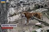 Животные в Николаевском зоопарке с началом войны отказывались есть