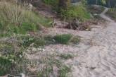 «Река засорена уже несколько лет»: в Николаеве жители просят убрать мусор на пляже