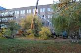 В Одесской области дерево упало на подъемный кран: погиб рабочий