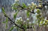 Заморозки на грунте и дожди: какая в ближайшие дни будет погода в Николаевской области