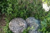 В Николаевской области задержали браконьеров – нанесли более 200 тысяч ущерба