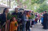 Миколаївці відзначають Вербну Неділю: біля церков святили вербу (фото)