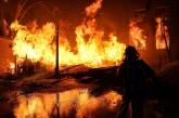 У Миколаєві рятувальники загасили масштабну пожежу на тартаку (фото)