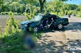 У ДТП на Одещині загинув водій та постраждала п'ятирічна дитина