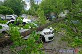 В центре Николаева ветка большого дерева упала на автомобиль и полностью перегородила дорогу