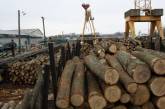 У Миколаївській області деревину для оборони купують удвічі дорожче, ніж на «ринку»