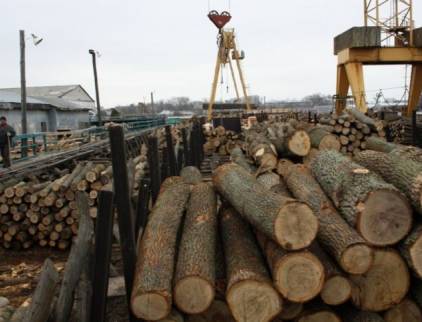 У Миколаївській області деревину для оборони купують удвічі дорожче, ніж на ринку