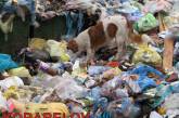 Николаевцы перенесли мусор со свалки в своем дворе в кабинет начальника ЖЭУ