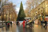 Главную городскую елку откроют 19 декабря