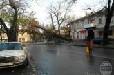Рухнувшие из-за бури деревья парализовали движение в различных районах Одессы
