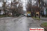 На Потемкинской рухнуло дерево: оборваны контактные провода, несколько домов осталось без света