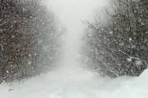 Со следующей недели в Николаеве ожидается похолодание, снег и метели