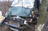 Микроавтобус врезался в дерево: 20-летнего водителя извлекали спасатели