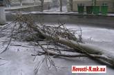 В Николаевской области ликвидируют последствия непогоды: дороги чистят от снега и упавших деревьев