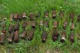 В Николаеве найдены 32 фугасные гранаты времен войны