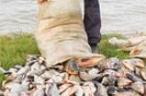 На Николаевщине у браконьеров изъяли более 130 кг рыбы