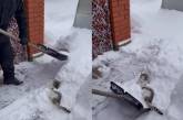 «Прямо наслаждается»: Кот мешал хозяину убирать снег и «нырял» в сугроб ( ВИДЕО) 