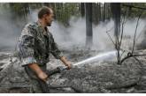 Опубликованы первые фото последствий пожара в лесу под Киевом