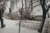 Снегопад в Харькове свалил деревья и выбил свет. ВИДЕО