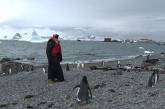 Патриарх Кирилл отслужил литургию в Антарктиде и упал на колени перед пингвином (фото)