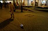 Дамочка в центре российского города выгуляла на поводке утюг