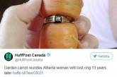 Чудеса в решете: на морковке нашли перстень, потерянный 13 лет назад. ФОТО