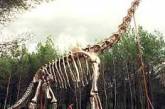 Ученые существенно занижали рост динозавров