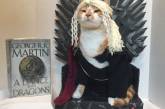 Публичная библиотека привлекает посетителей, наряжая кота в различных персонажей 
