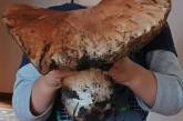 На Волыни нашли гриб-гигант весом четыре килограмма (фото)