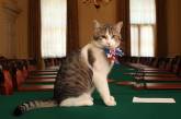 Главный кот Британии: Король попросил меня стать премьером (ФОТО)