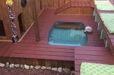 Игровая площадка с мини-бассейном для собак. ФОТО