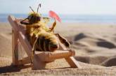 За жизнью этой пчелы следит более ста тысяч человек (ФОТО)