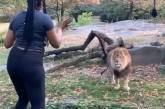 В Нью-Йорке женщина решила станцевать возле льва (ВИДЕО)