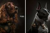 Фотограф создал проект с собаками-героями в униформе (ФОТО)