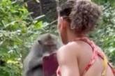 Мавпа вкрала, порвала та погризла паспорт туристки під час її відпочинку на Балі – відео
